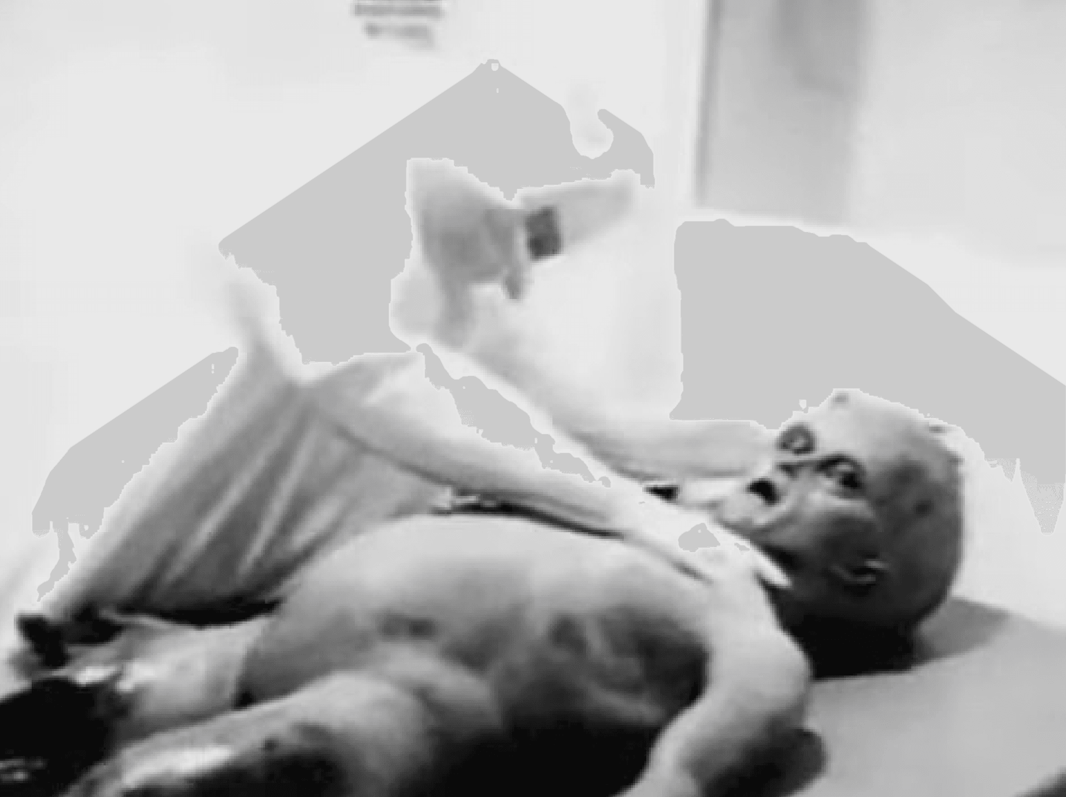 穿著防護衣的人員在影片中進行解剖,但後來被證實是以道具與動物內臟拍攝的惡作劇。(翻攝 RadioRaider YouTube頻道)