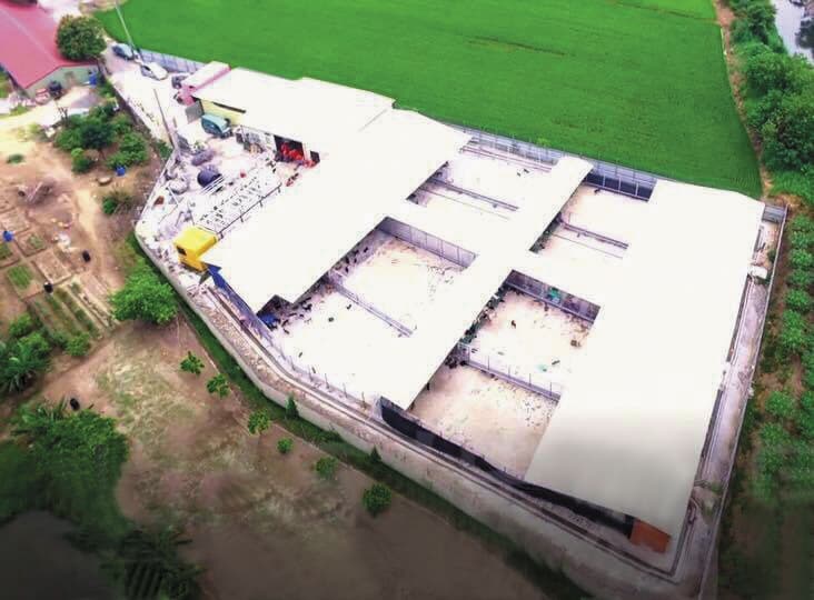 姜媽媽向吳姓地主承租土地,興建違建工寮收容犬隻。(翻攝自姜媽媽狗園臉書)