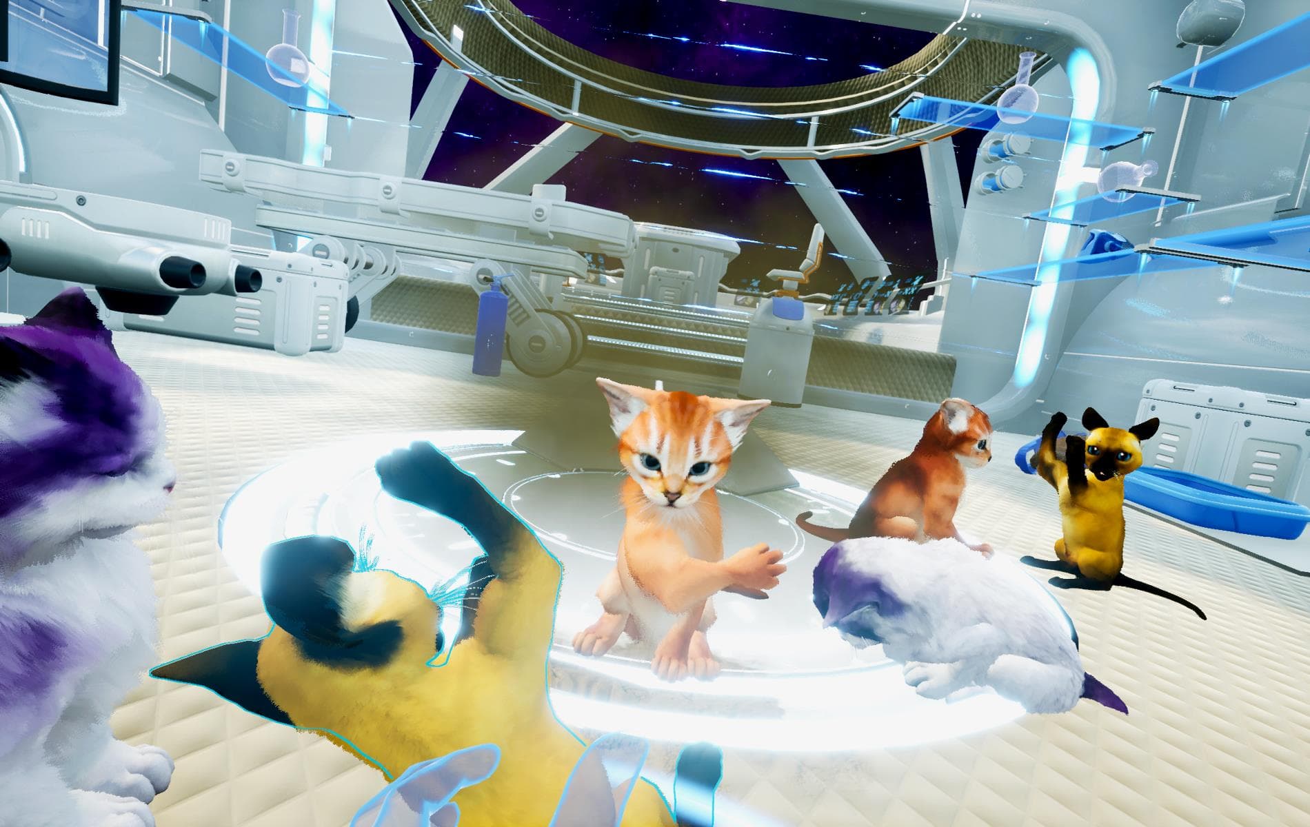 小貓雖然可愛,但搗亂破壞時也令人頭痛(圖片來源:官網)