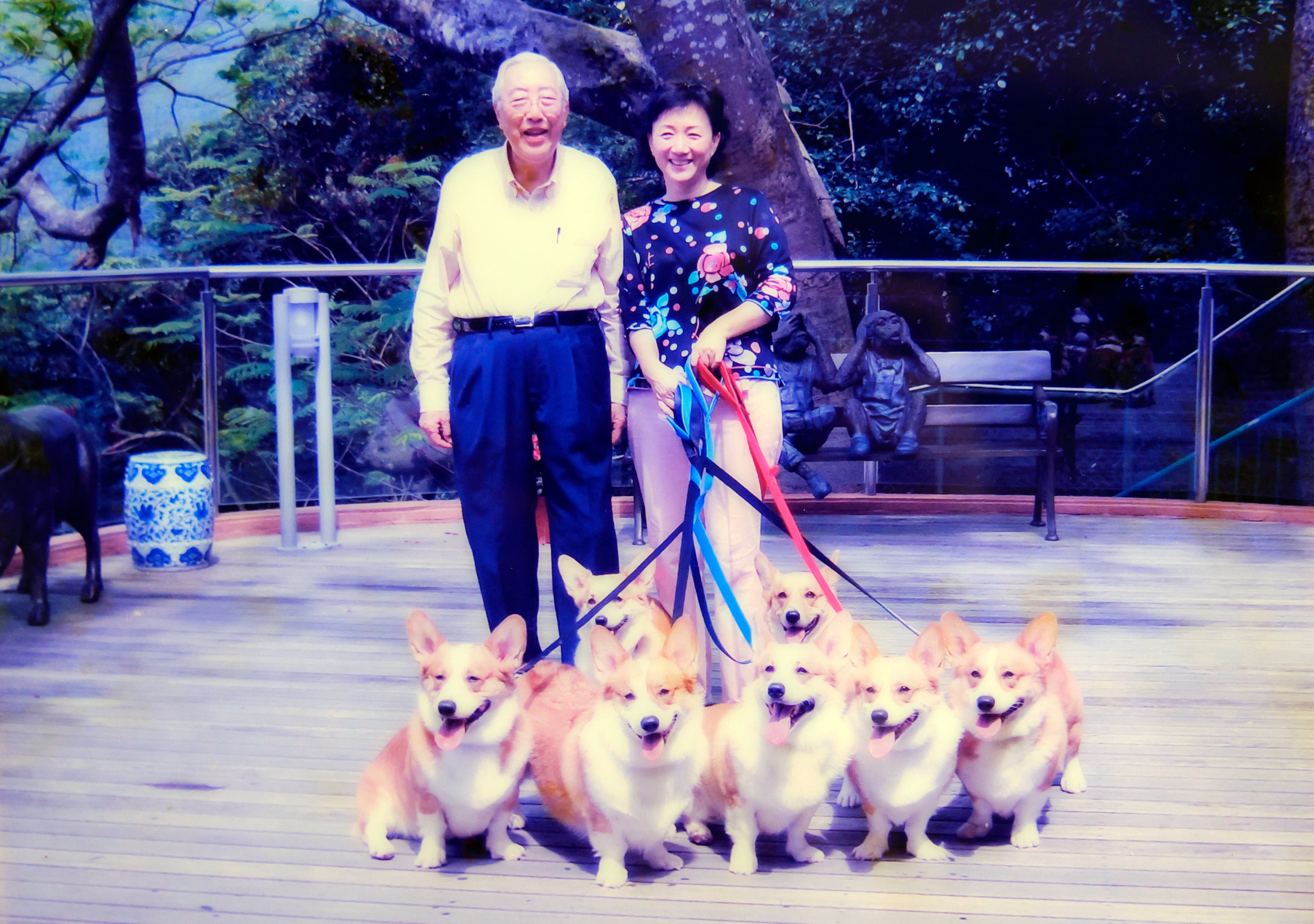 榮鴻慶和太太榮周淑霞愛狗，出門遛狗時被鄰居說是八仙。（上海商銀提供）