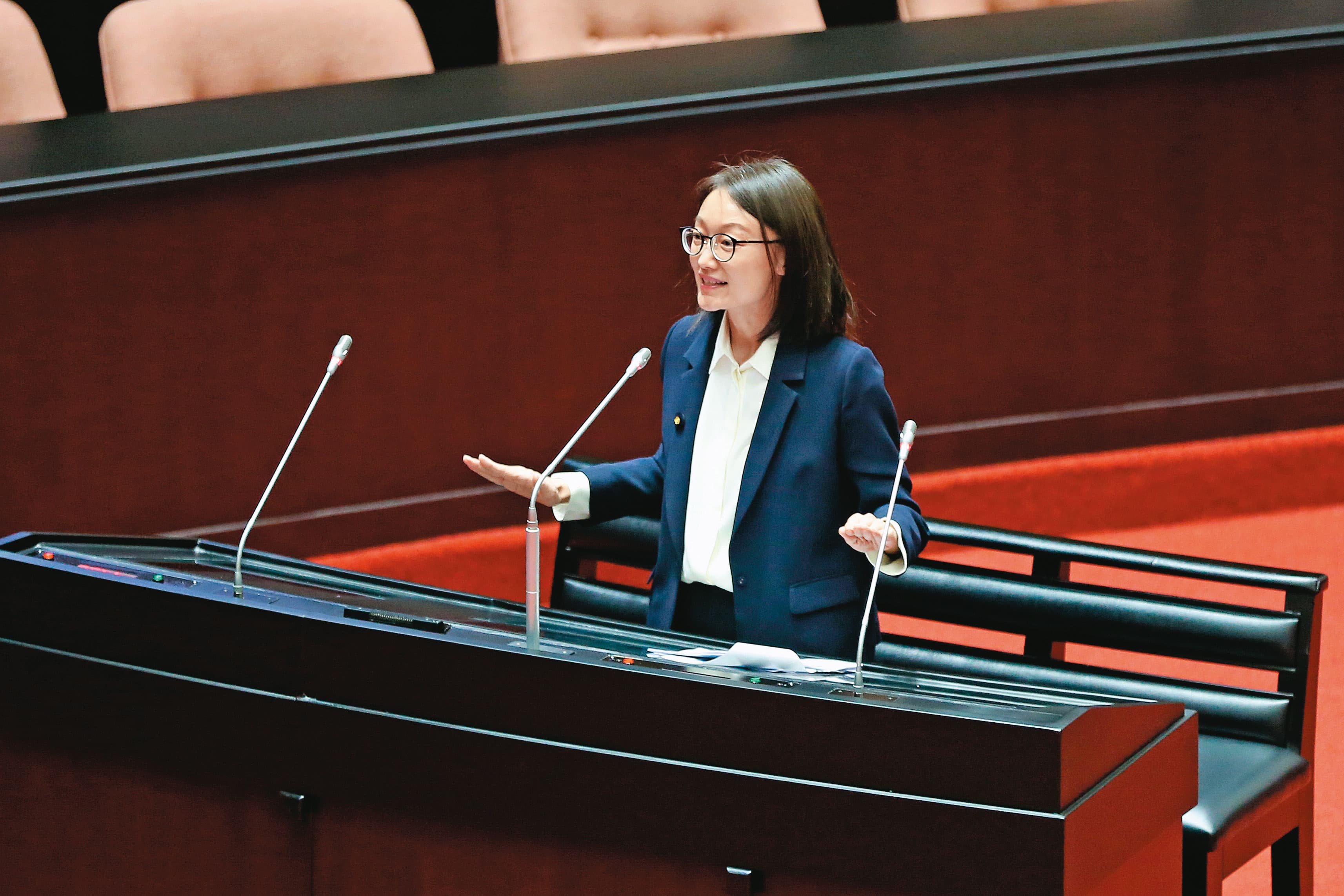 吳怡玎在立法院質詢時自爆遭檢調搜索,並質疑搜索程序是否合法。