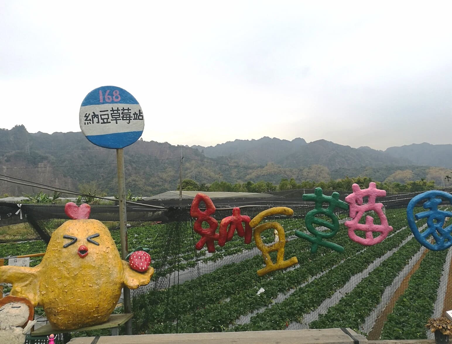 充滿童趣的招牌,適合親子一起入園採草莓。