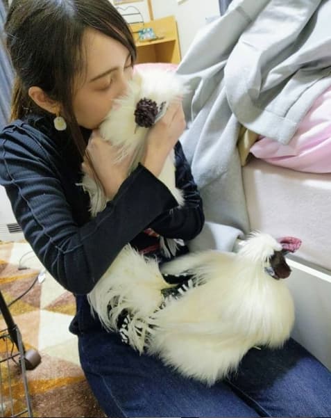 別人吸貓,繪未花則是「吸雞」療癒自己。(翻攝自田口繪未花IG)