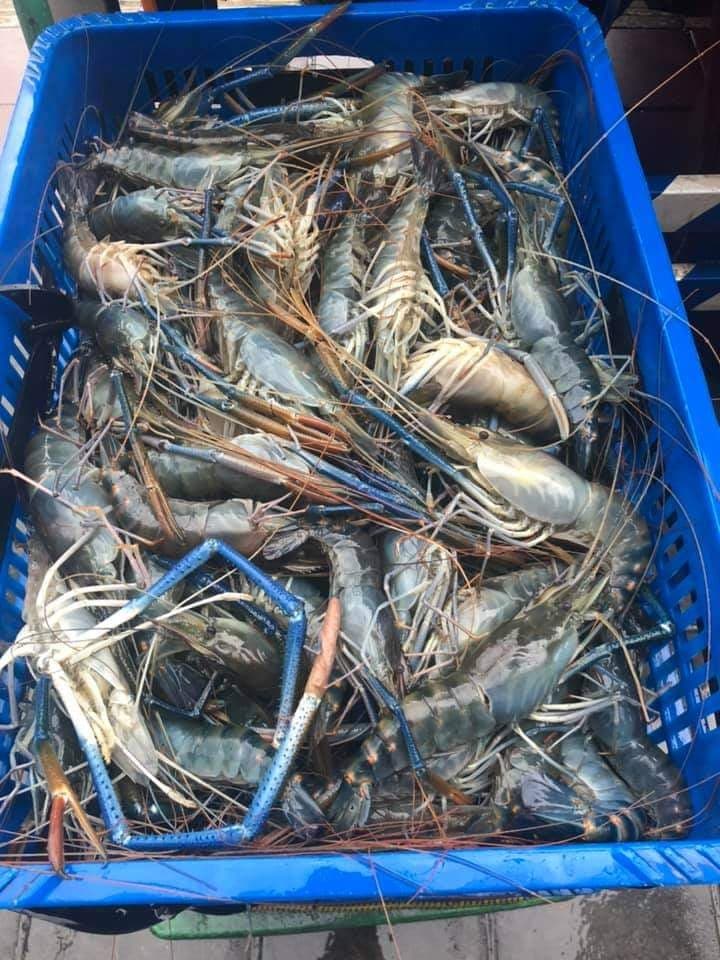 釣蝦場業者透露,泰國蝦批發商漫天開價,還嗆「嫌貴不叫貨,後面還一堆人排隊等」。