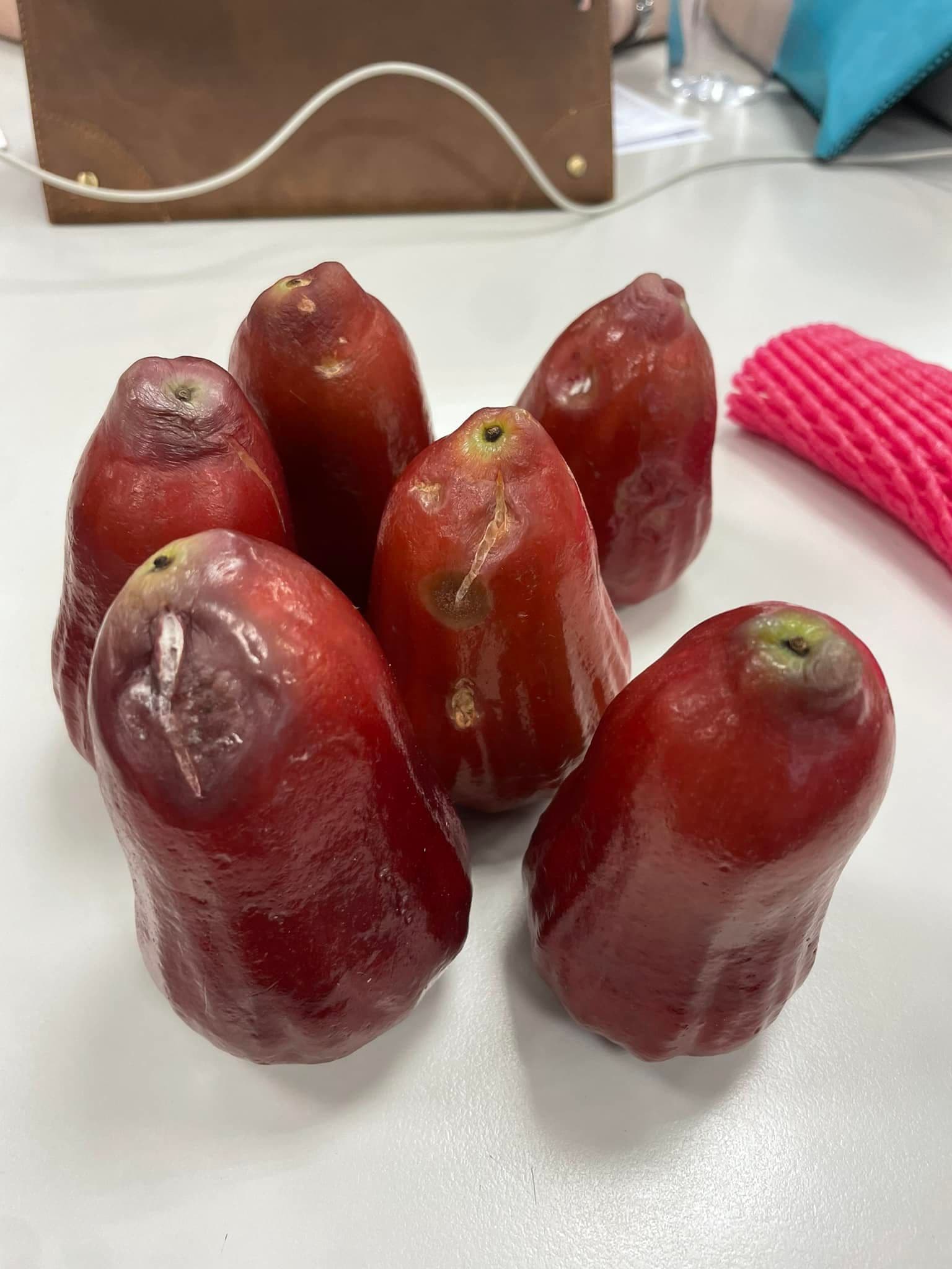 一名女子抱怨店家坑殺觀光客,一箱超過一半的蓮霧是品質不佳的。(翻攝自爆怨公社)