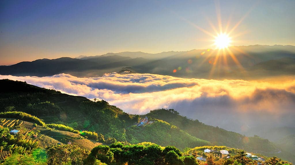 阿里山有日出,也有森林,搭小火車就能上山,也是網友推薦很適合獨旅。(翻攝自阿里山國家風景區管理處官網)