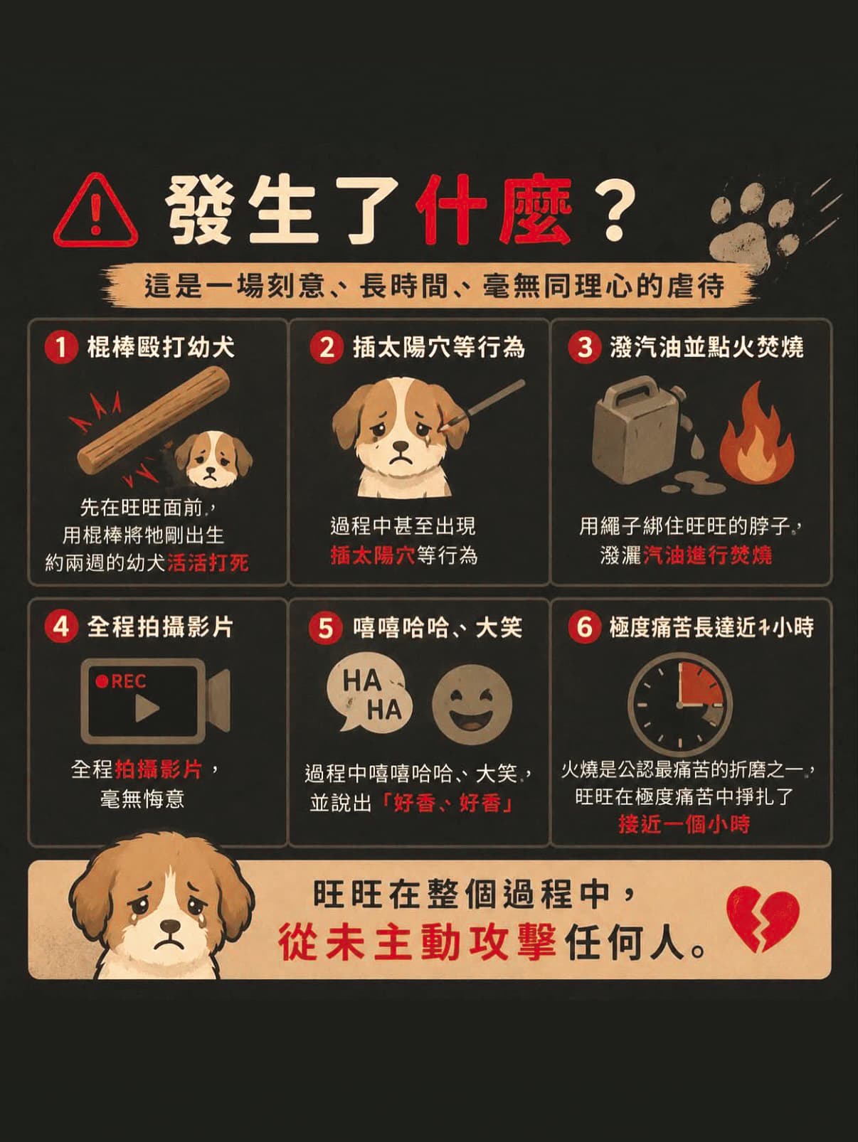關注流浪動物議題的賴薇如,在Threads上看到了「旺旺事件」,讓她痛心不已,並呼籲大家要重視虐狗案。(翻攝自賴薇如IG)