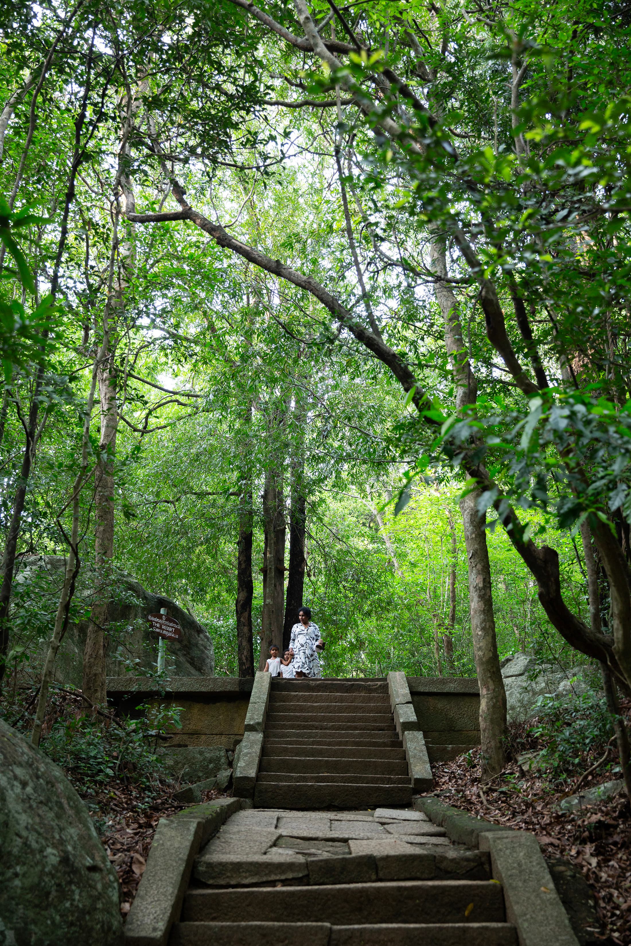 隱身叢林的苦行派修院遺址「瑞提加拉森林修院」,沒有華麗裝飾,只有樸實的石階與平台。