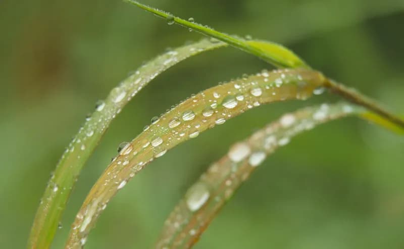 明天「寒露」！命理師教開運3招：整理玄關、清單據　擺脫不順迎好運