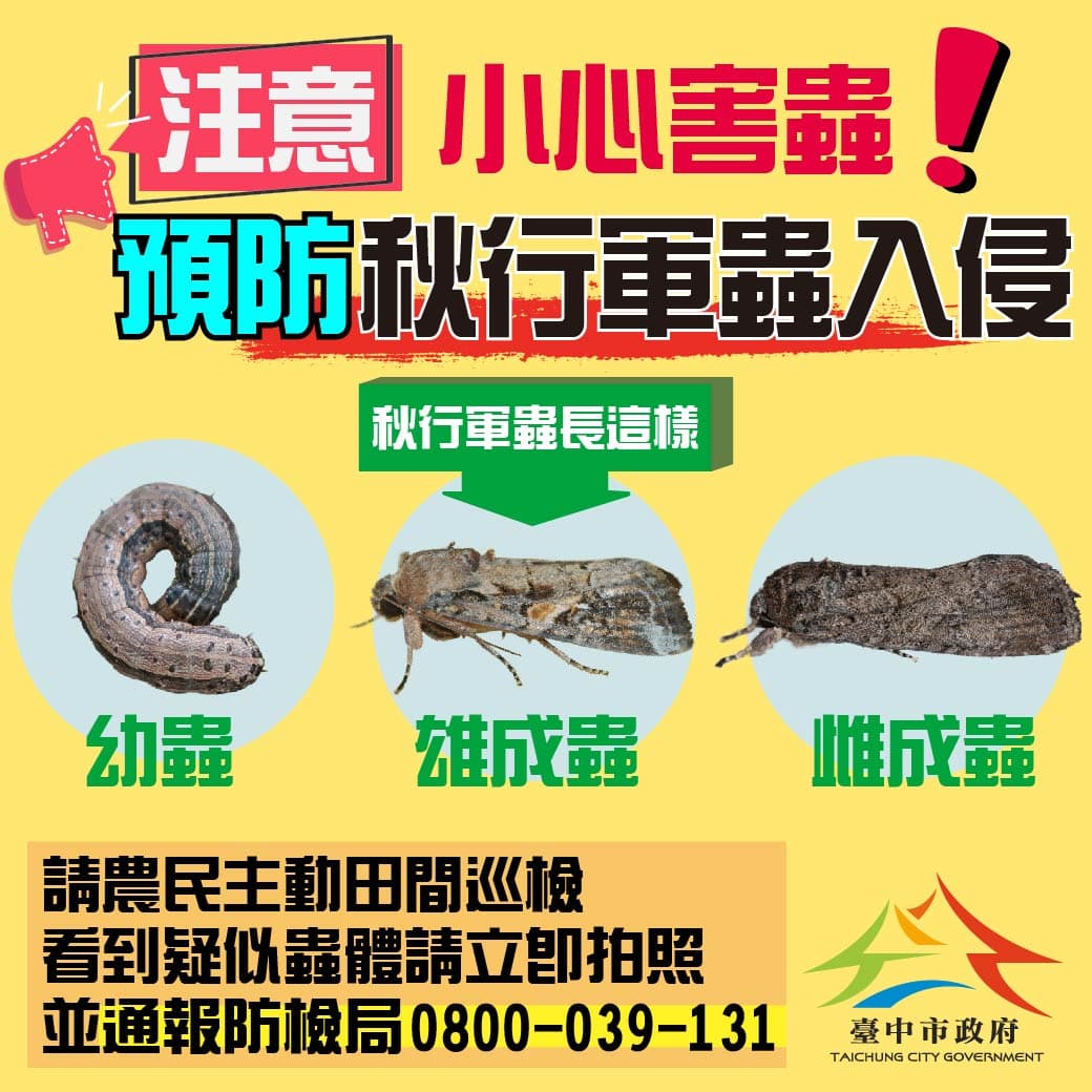 (台中市政府官網提供)