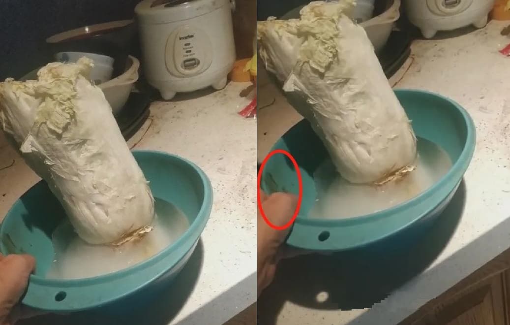 阿寶拍片分享失敗的料理經驗,廚房擺設卻成焦點。(翻攝自微博)