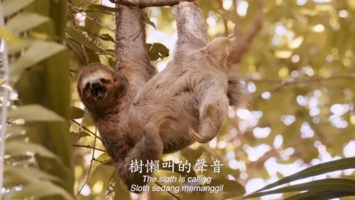 黃明志擅長在歌詞中加入讓粉絲看了會害羞的暗示性用語。(翻攝自黃明志Namewee YouTube)