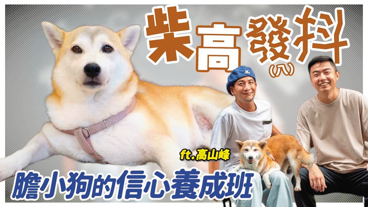 花妹對聲音敏感,對鞭炮聲更是惶恐,害怕到發抖躲桌下,還因此瘦了2公斤。(翻攝自熊爸估狗YouTube)
