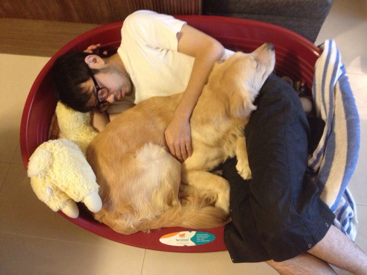 NO NAME透露BELLA是在捷运站走失的狗，找了主人多时都找不到，差点就被安乐死。（NO NAME提供）