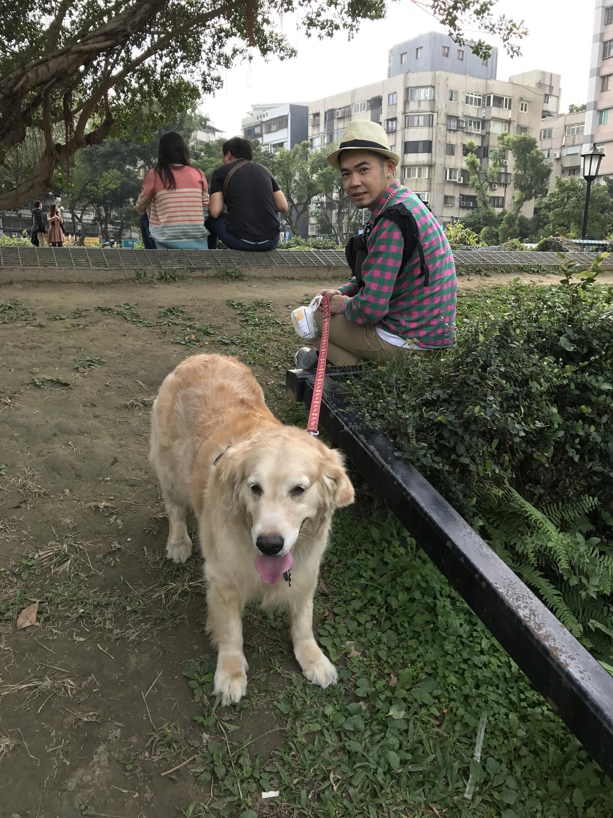 NO NAME一天会带BELLA出门散步两三次，回到家后又立刻在地上躺平。（NO NAME提供）